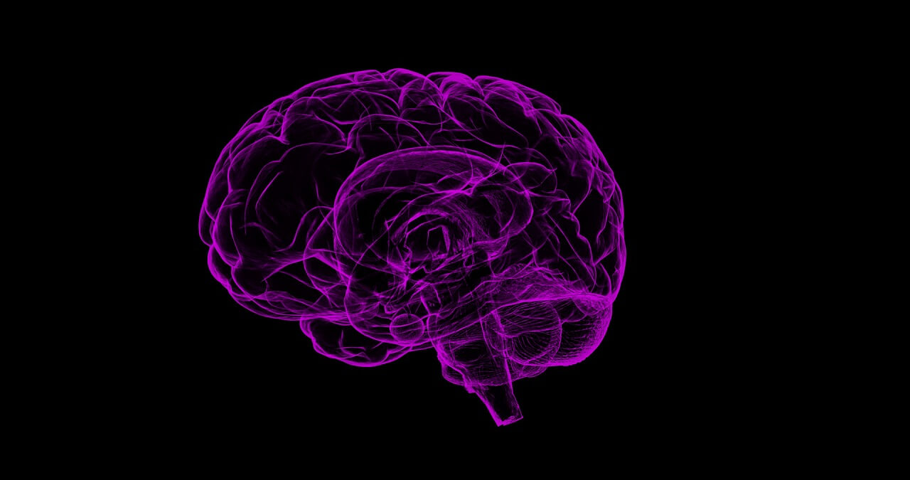 pricing psychology purple brain