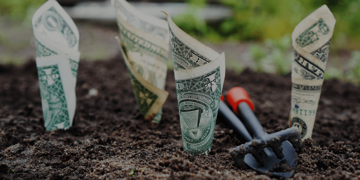 dollars planted in ground
